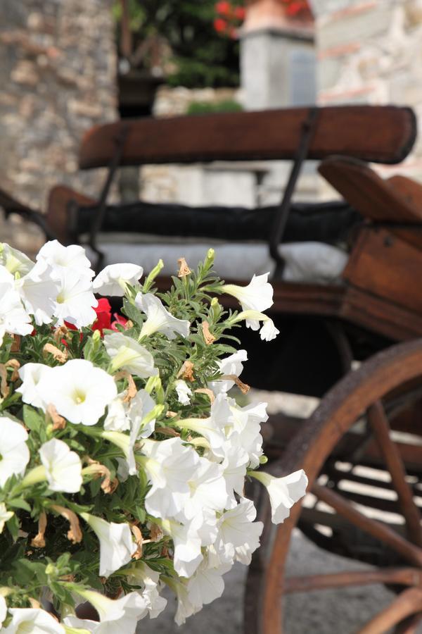 Agriturismo Il Calesse Quarrata Zewnętrze zdjęcie