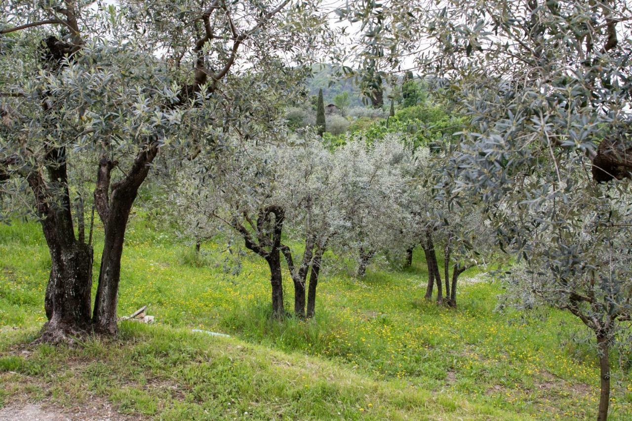 Agriturismo Il Calesse Quarrata Zewnętrze zdjęcie
